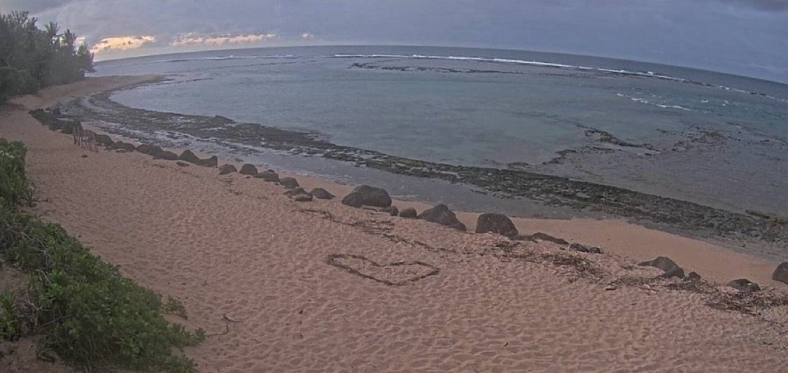 Pacific Tsunami Alert