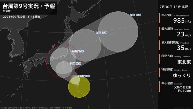 Pacific Tsunami Alert: 8.8 Quake Devastates Russian Coast, Waves Reach Japan, Hawaii
